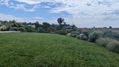 Enlarge photo 88