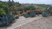Enlarge photo 102