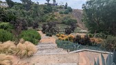 Enlarge photo 103