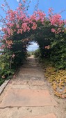 Enlarge photo 106