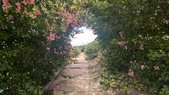 Enlarge photo 107