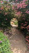 Enlarge photo 110