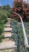 Enlarge photo 111