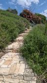 Enlarge photo 112