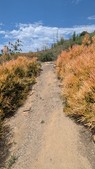 Enlarge photo 113