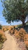 Enlarge photo 115