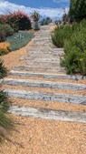 Enlarge photo 117