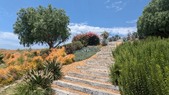 Enlarge photo 118