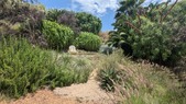 Enlarge photo 119