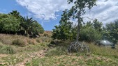 Enlarge photo 122