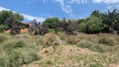 Enlarge photo 123