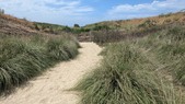 Enlarge photo 125