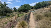Enlarge photo 128