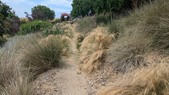 Enlarge photo 130