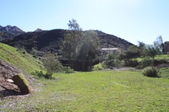 Enlarge photo 37