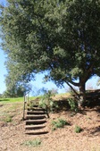 Enlarge photo 36
