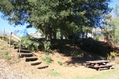 Enlarge photo 38