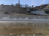 Enlarge photo 30