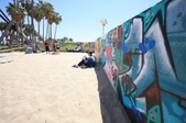 Enlarge photo 99