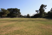 Enlarge photo 54