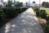 Enlarge photo 54