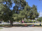 Enlarge photo 28