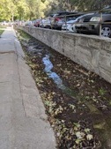 Enlarge photo 38
