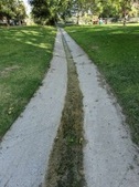 Enlarge photo 40