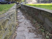 Enlarge photo 42