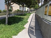 Enlarge photo 14