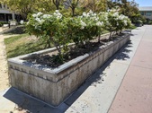 Van Nuys Courthouse Plaza
