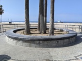 Enlarge photo 37