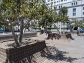 Enlarge photo 20