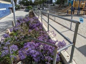 Enlarge photo 44