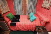 Enlarge photo 47