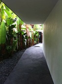 Enlarge photo 48