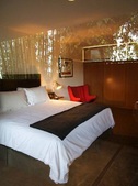 Enlarge photo 58