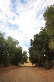 Enlarge photo 25