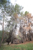 Enlarge photo 22