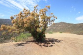 Enlarge photo 33