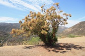 Enlarge photo 34
