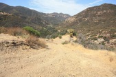 Enlarge photo 35