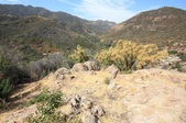 Enlarge photo 37