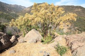 Enlarge photo 38