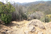 Enlarge photo 39
