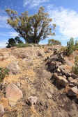 Enlarge photo 40