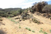 Enlarge photo 41