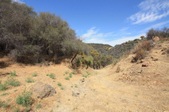 Enlarge photo 42