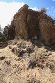 Enlarge photo 43