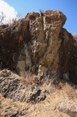 Enlarge photo 44